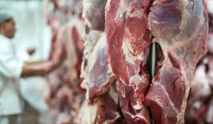 O erro grave que quase todo mundo comete ao descongelar carne