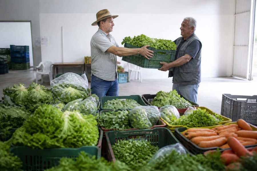 Banco de Alimentos recebe 196 quilos de verduras de produtor rural e reforça incentivo às doações