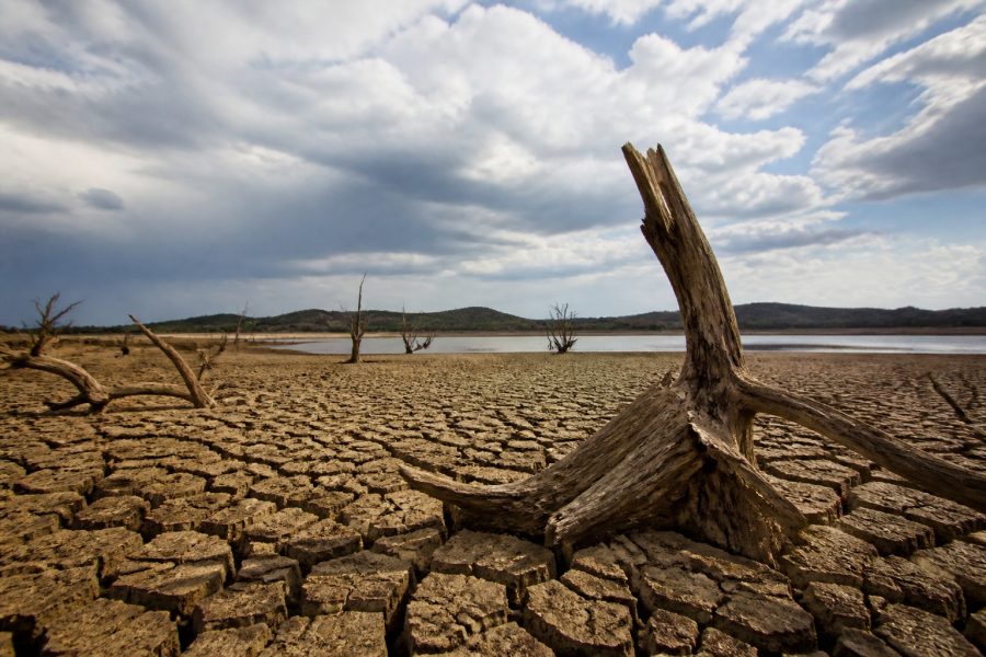 COP17 caminha para novo adiamento de acordo de combate às secas