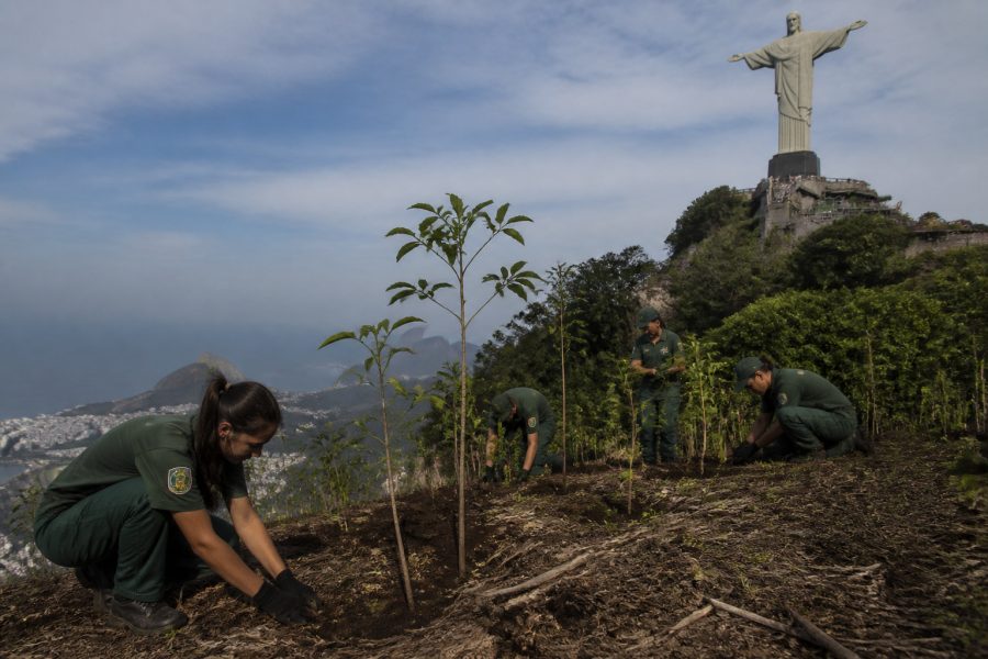 Cristo Redentor inicia certificação para minimizar impacto ambiental do turismo