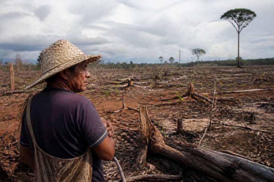 Depois da COP17, Brasil é cobrado a efetivar metas de restauração