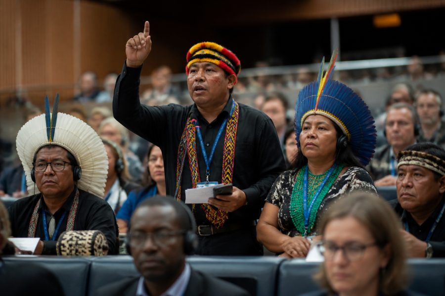 Indígenas exigem voz ativa na COP17 sobre desertificação na Mongólia