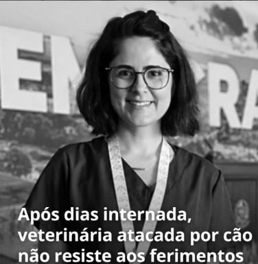 O que devemos aprender com a morte da médica-veterinária atacada por um cão no Senado?