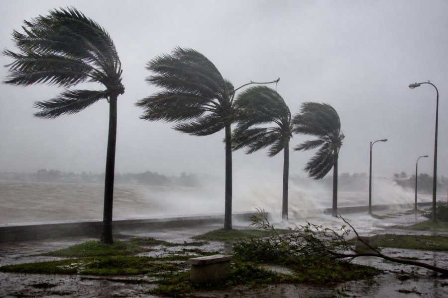 Rio Grande do Sul terá chuva intensa e ventos de até 100 km/h