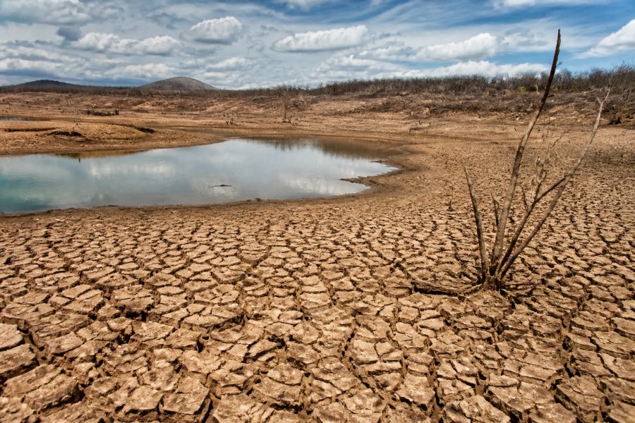 Desertificação no Brasil: um risco à segurança hídrica e alimentar