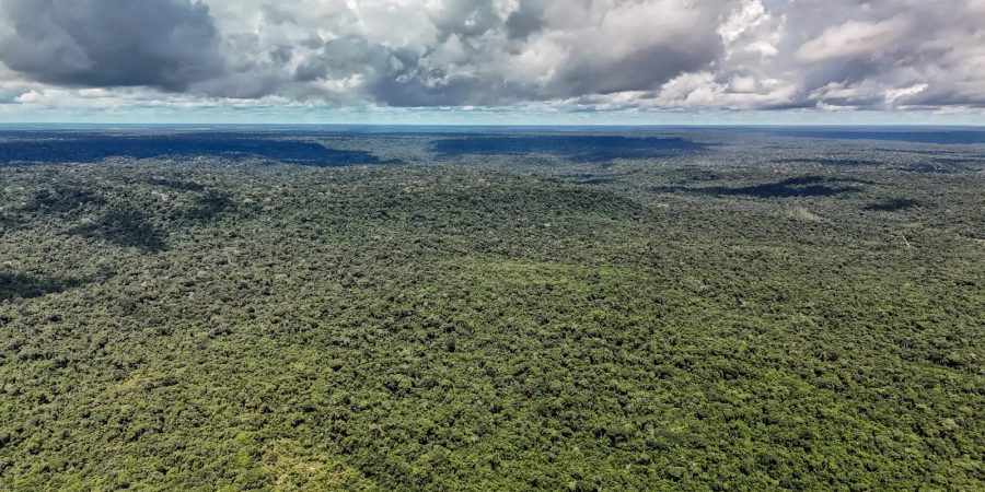 Brasil recebe autorização para crédito de US$ 1 bilhão do BID para Eco Invest Brasil