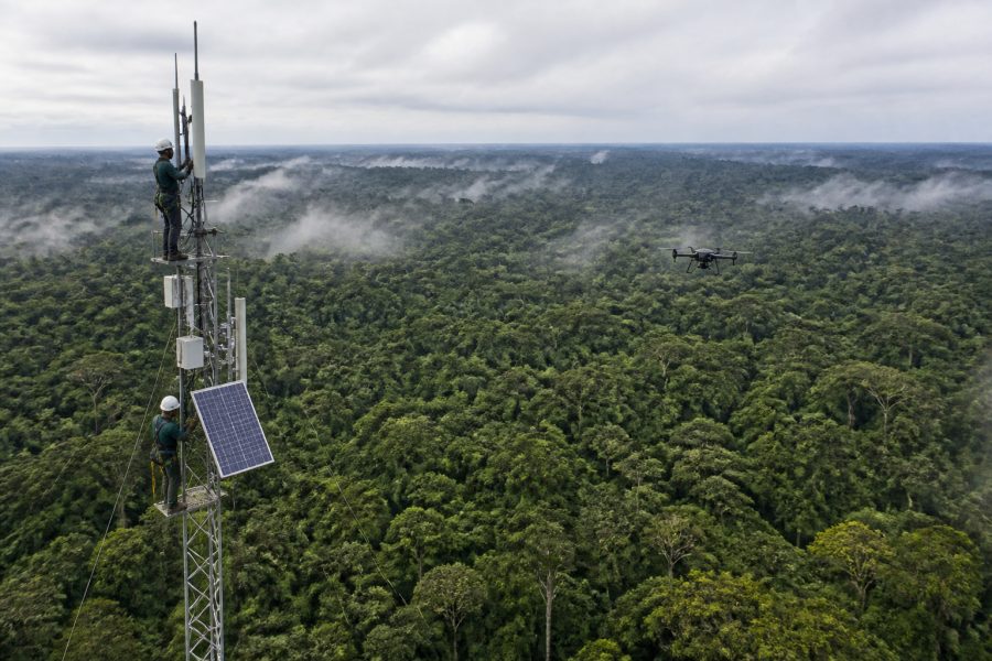 Inovação e Sustentabilidade: Modelo de Carbono Revoluciona Florestas